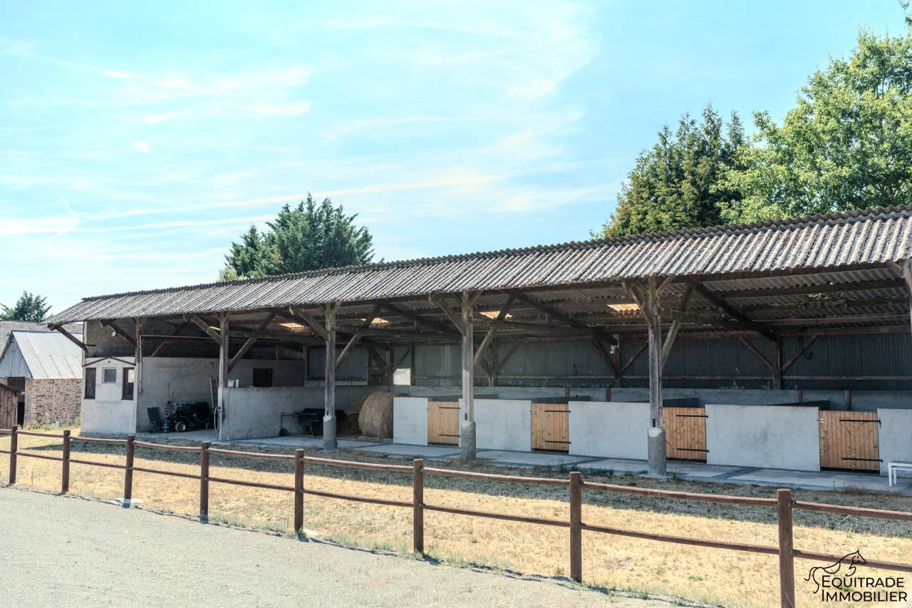 Mooi hippisch vastgoed Koop Sarthe