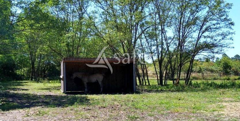 Hippisch vastgoed Koop Gironde
