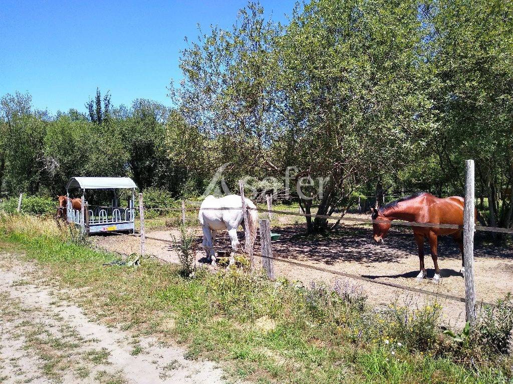 Hippisch vastgoed Koop Gironde