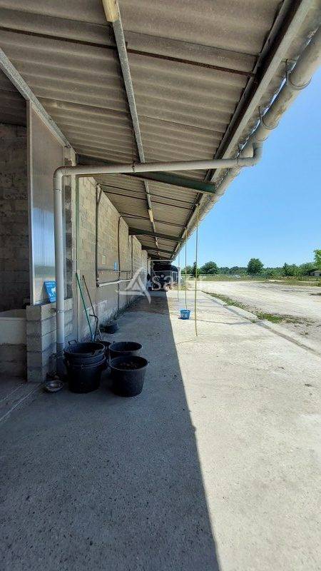 Hippisch vastgoed Koop Gironde