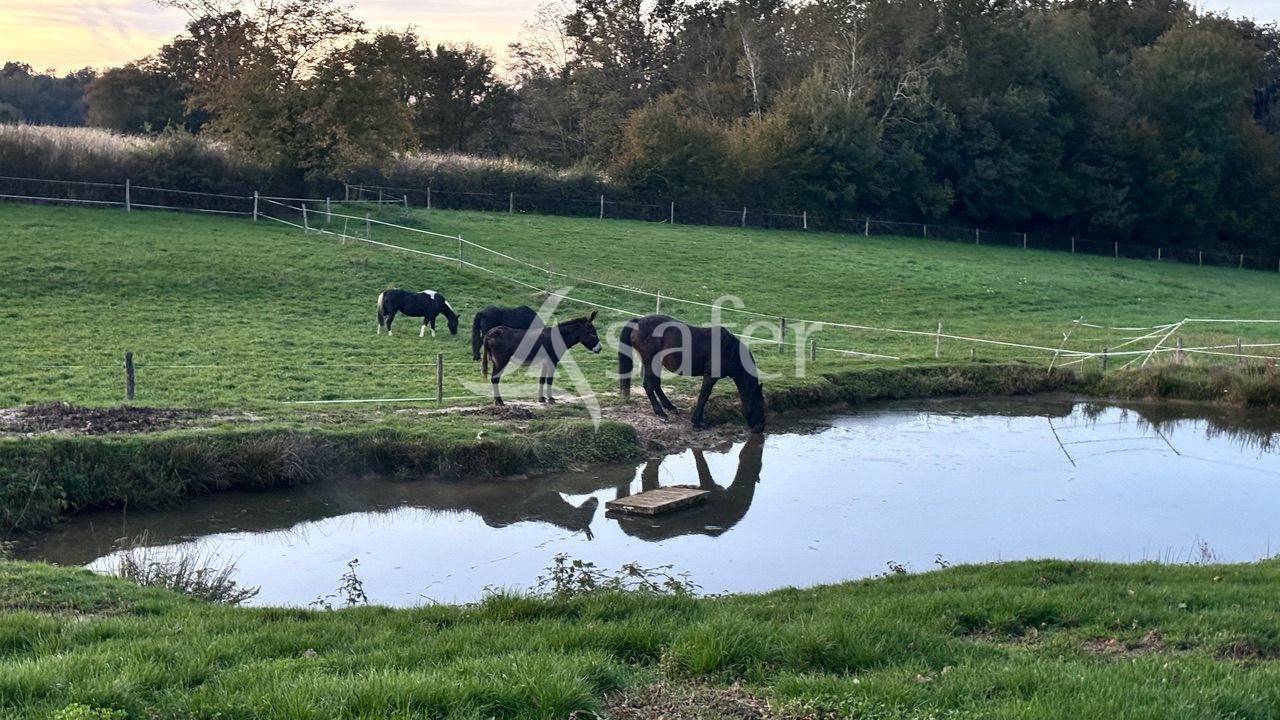 Hippisch vastgoed Koop Sa&ocirc;ne-et-Loire