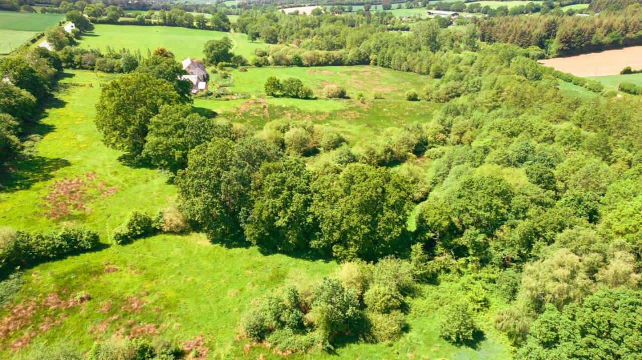 Hippisch vastgoed Koop Mayenne
