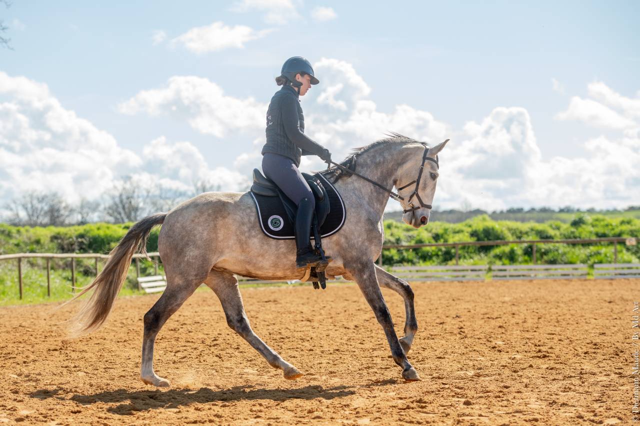 Merrie Lusitano Te koop 2020 Schimmel