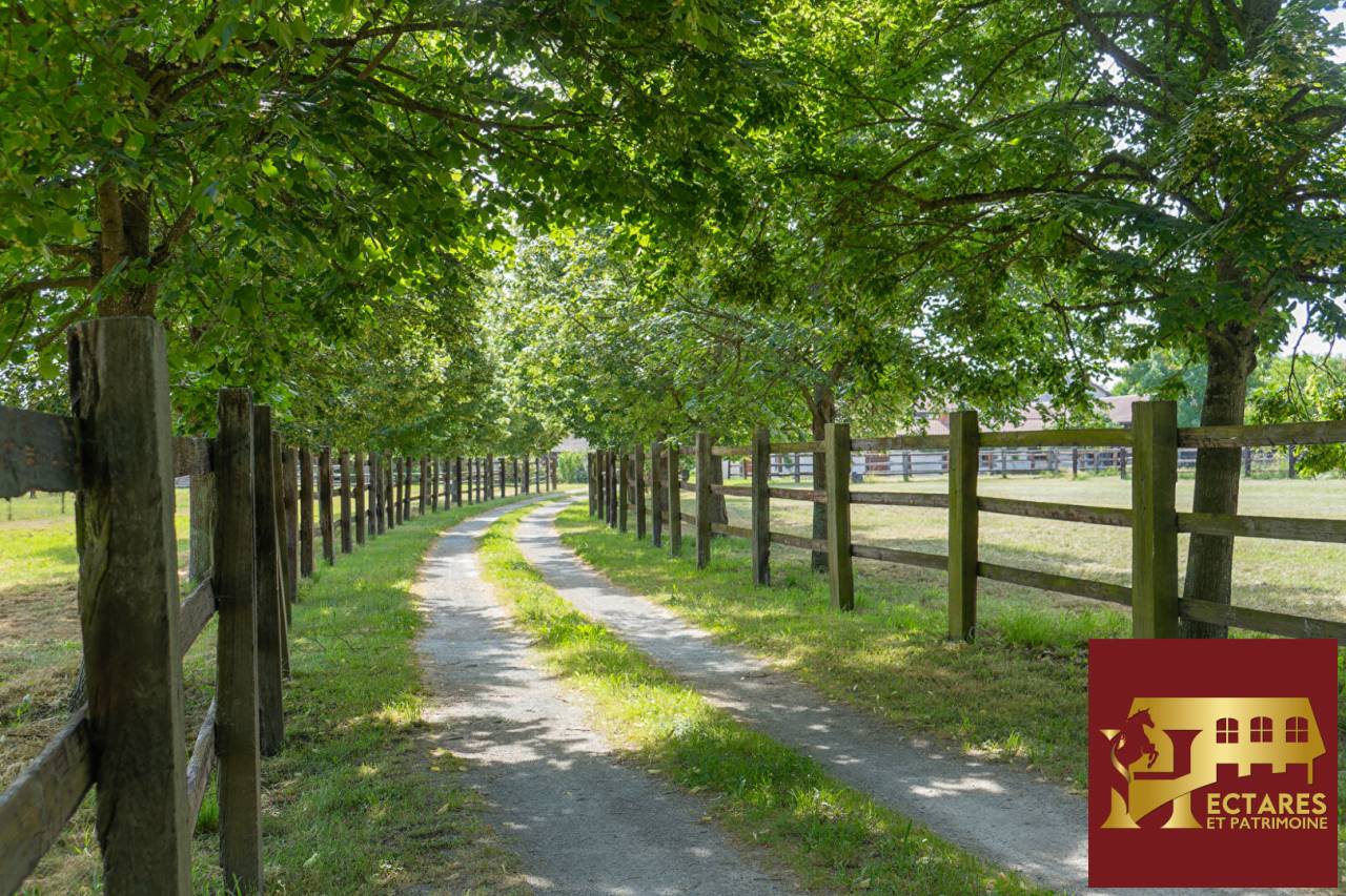 Hippisch vastgoed Koop Puy-de-D&ocirc;me