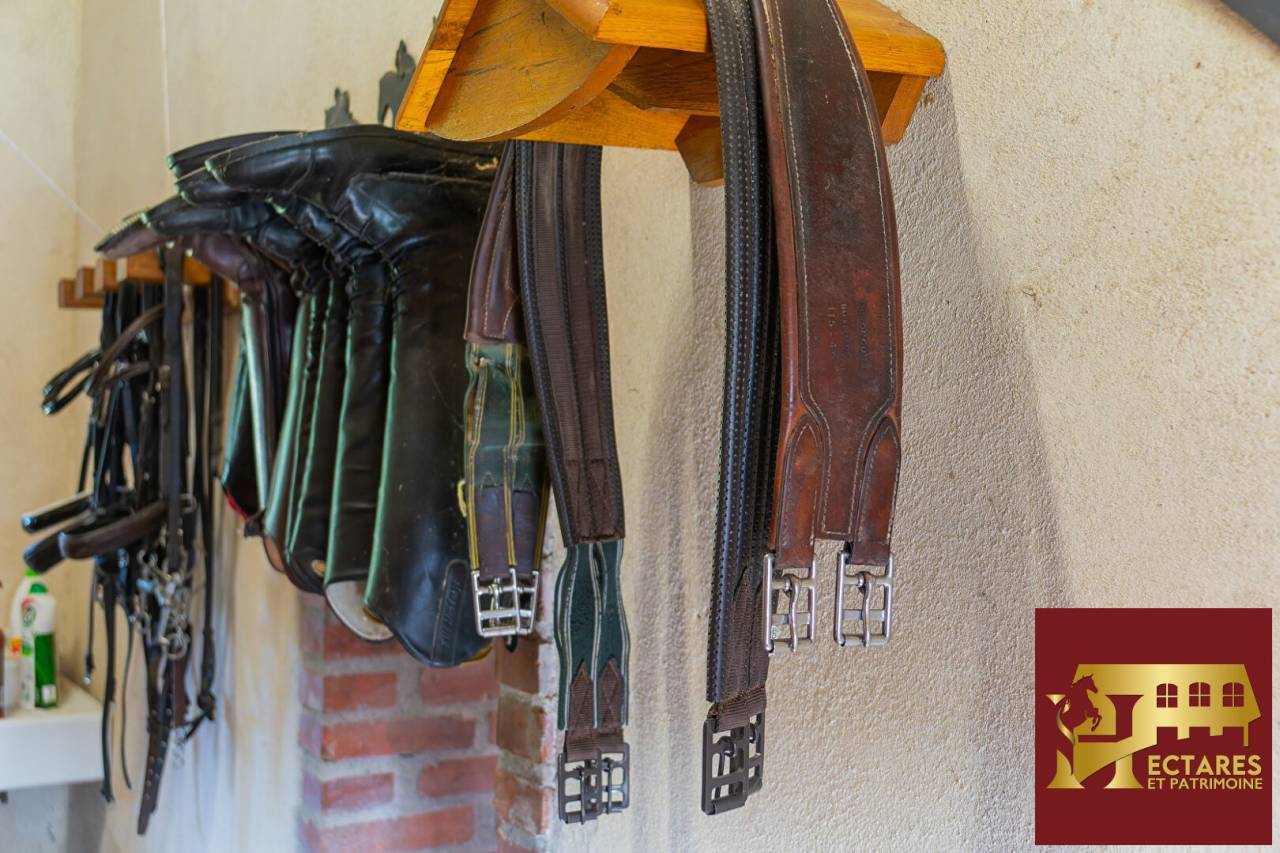 Hippisch vastgoed Koop Puy-de-D&ocirc;me