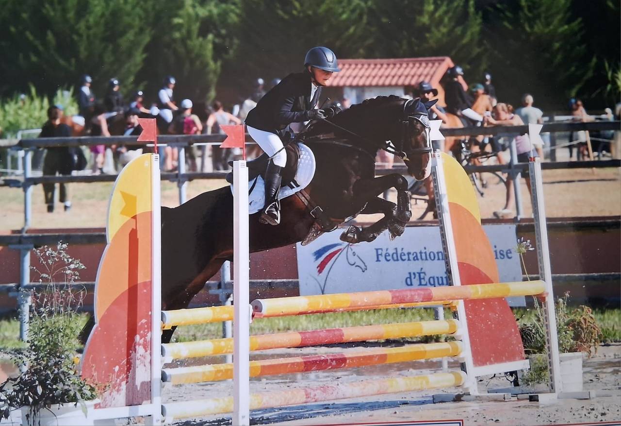 Ruin Franse rijpony PFS Te koop 2018 Zwart ,  Renoir WE