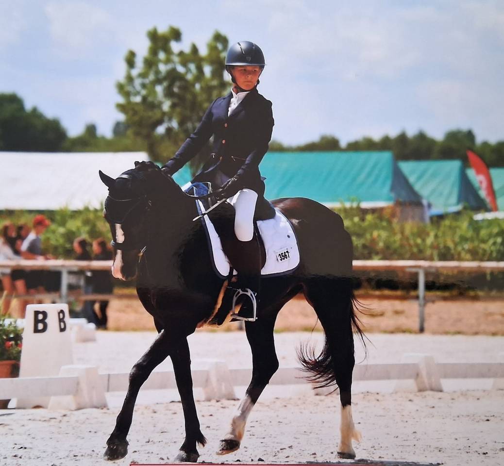Ruin Franse rijpony PFS Te koop 2018 Zwart ,  Renoir WE