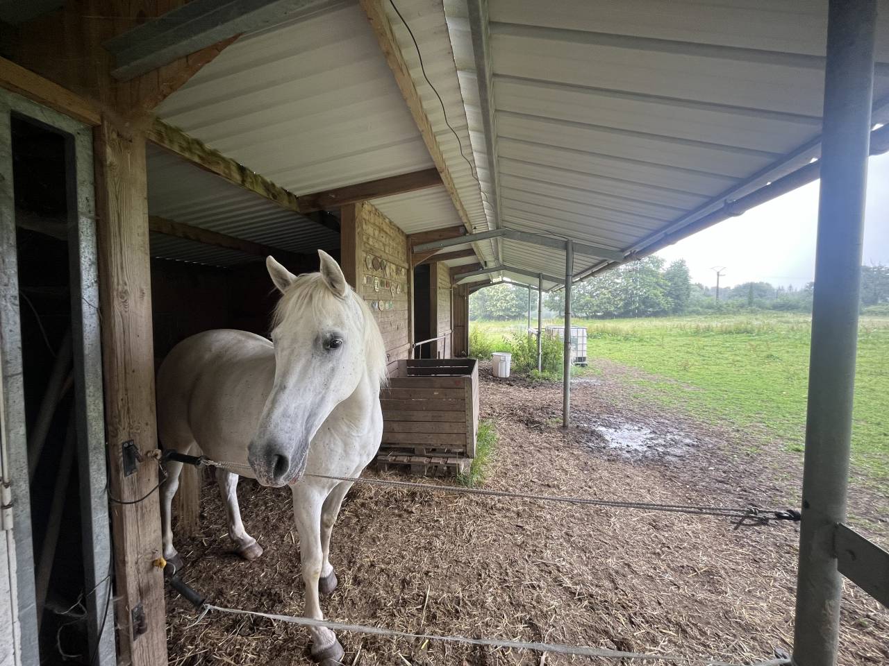 Mooi hippisch vastgoed Koop Ile-et-Vilaine