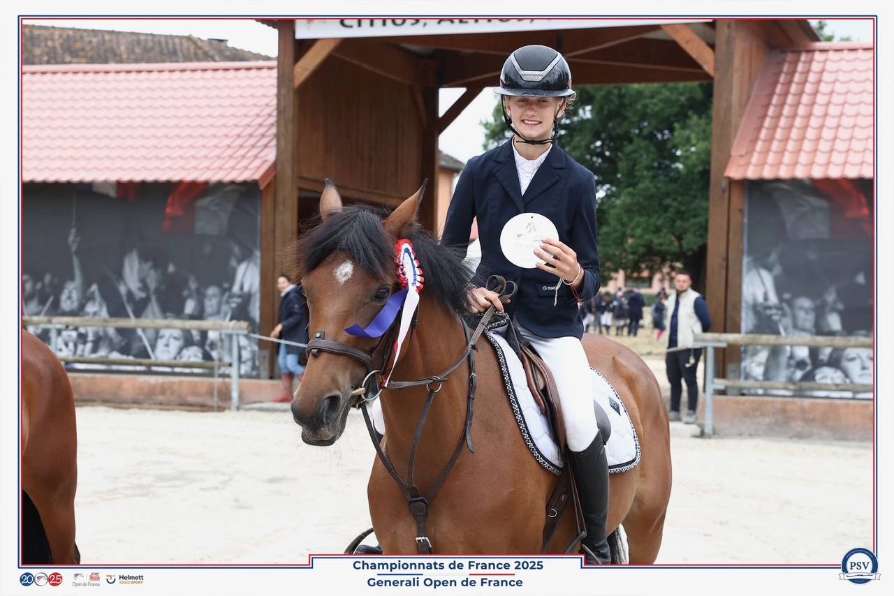 Merrie Franse rijpony PFS Te koop 2017 Donker bruin / bai