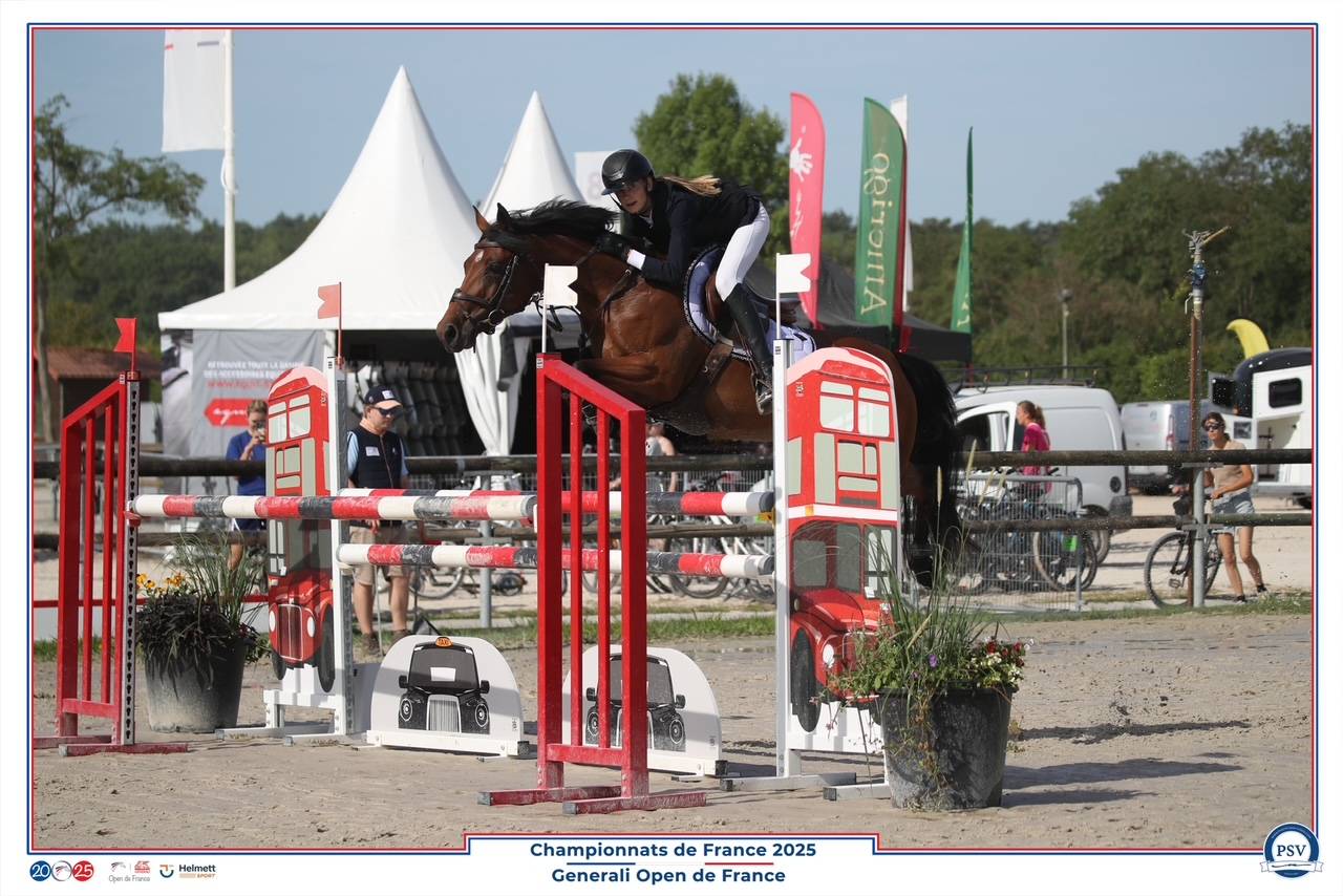 Merrie Franse rijpony PFS Te koop 2017 Donker bruin / bai