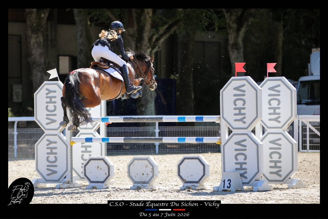 Merrie Franse rijpony PFS Te koop 2017 Donker bruin / bai