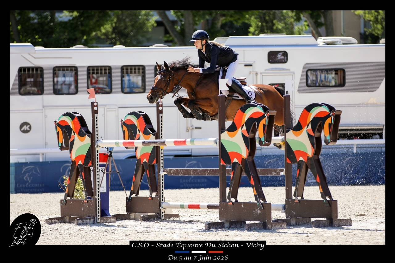 Merrie Franse rijpony PFS Te koop 2017 Donker bruin / bai