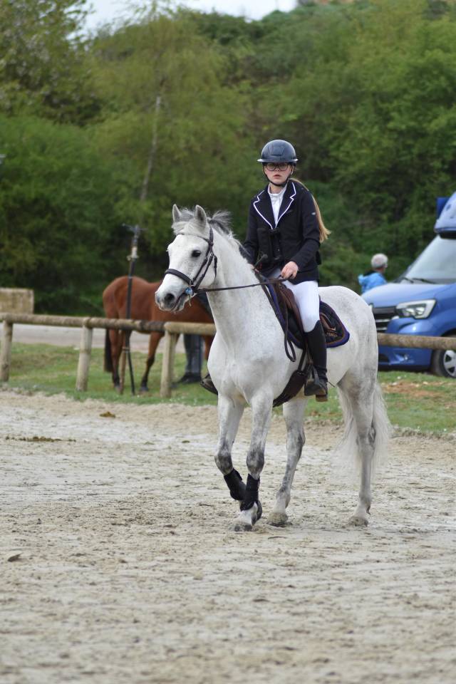Ruin Connemara Te koop 2016 Schimmel