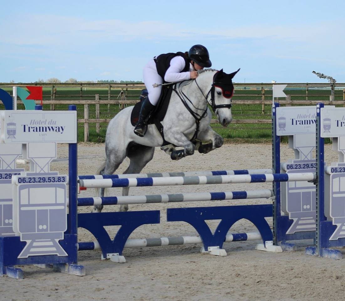 Ruin Connemara Te koop 2016 Schimmel