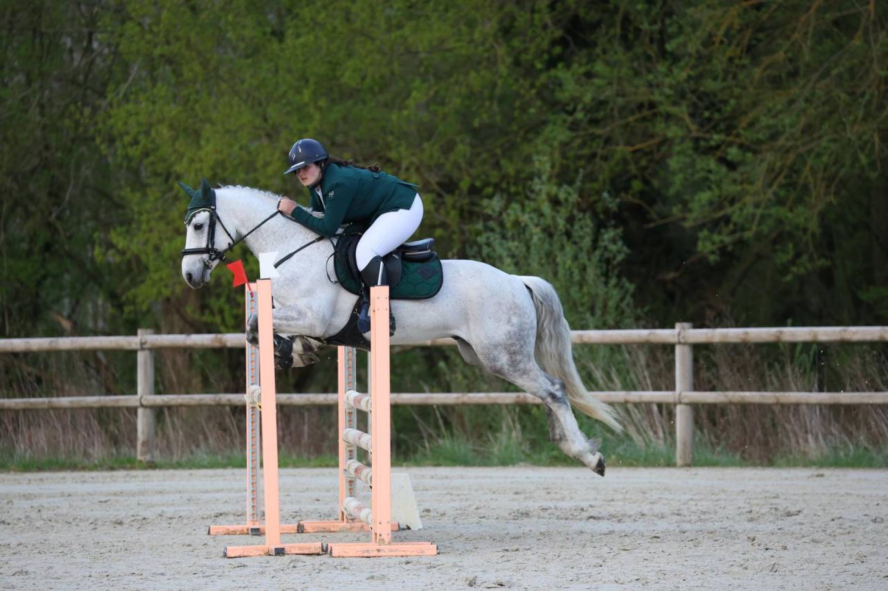Ruin Connemara Te koop 2016 Schimmel