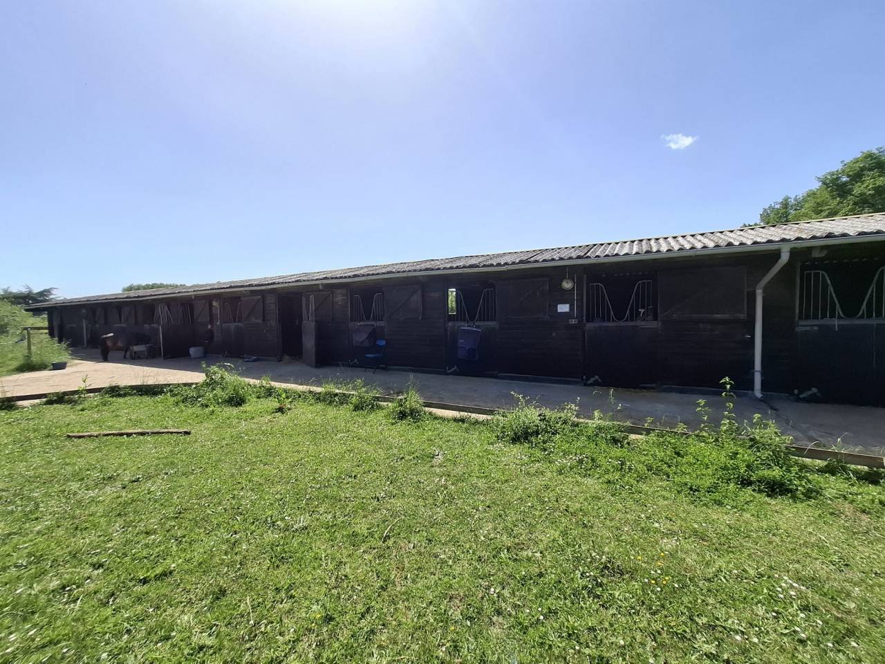 Paarden accommodatie Koop Loir-et-Cher