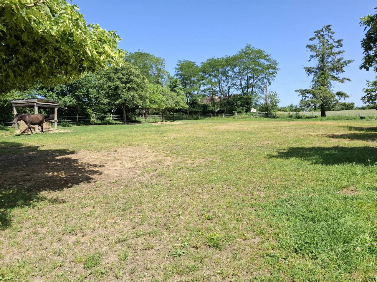 Paarden accommodatie Koop Loir-et-Cher