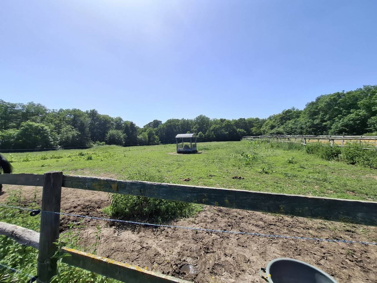 Paarden accommodatie Koop Loir-et-Cher