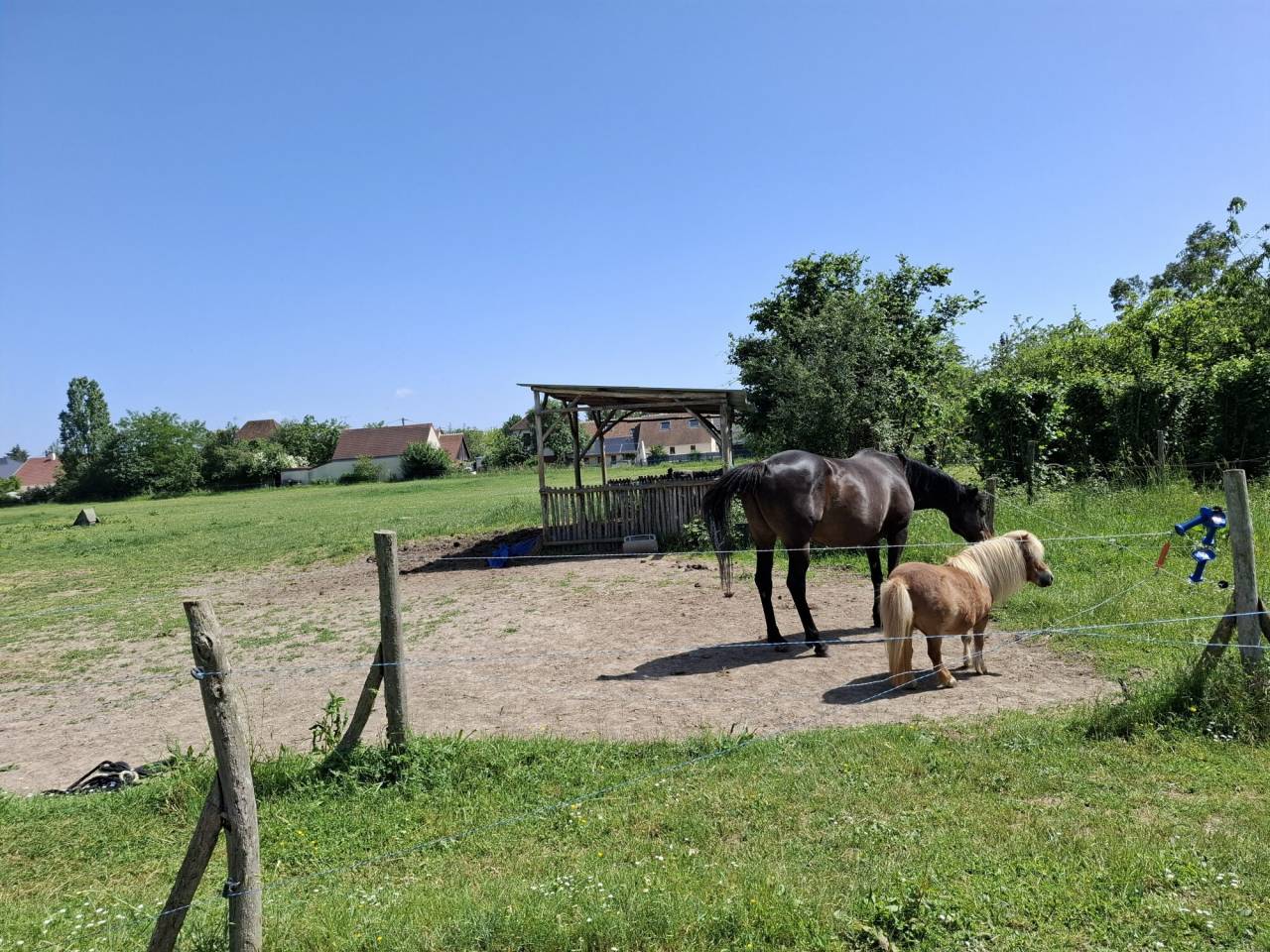 Paarden accommodatie Koop Loir-et-Cher