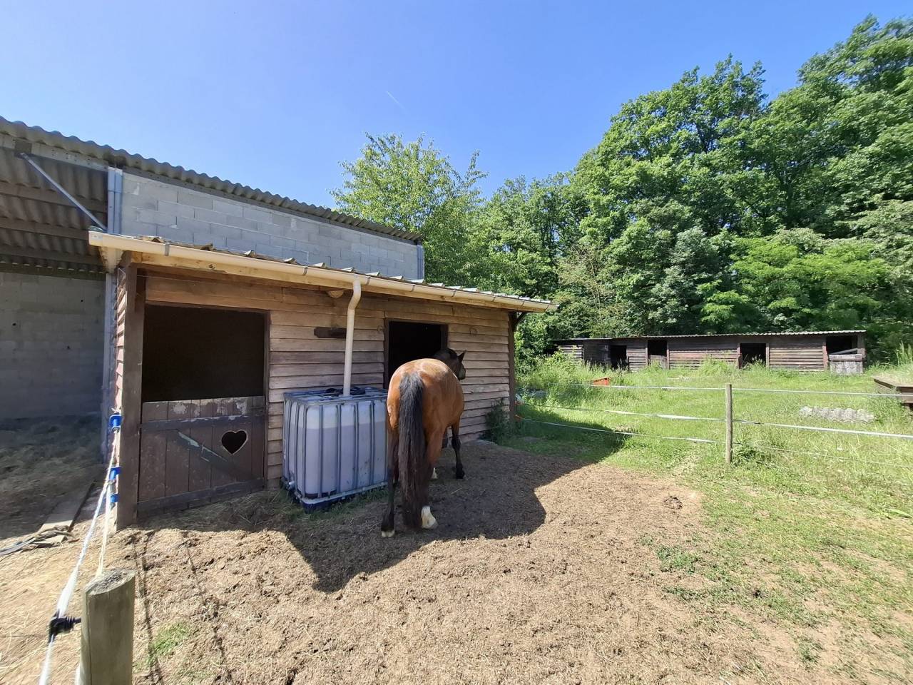 Paarden accommodatie Koop Loir-et-Cher