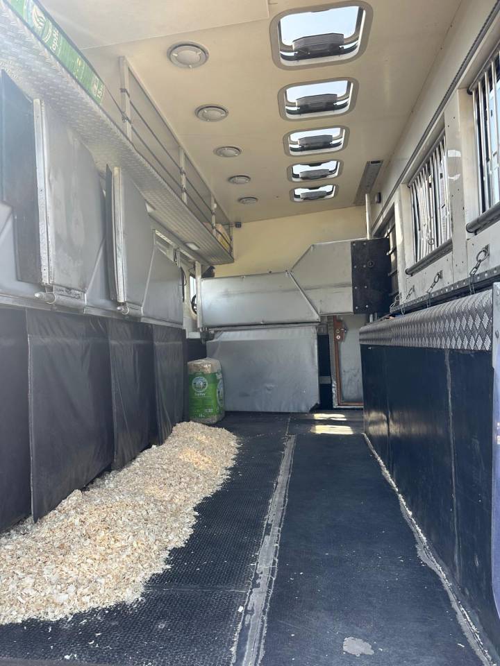 Zware paardenvrachtwagen (groot rijbewijs) Ketterer FH 12 2008 Tweedehands