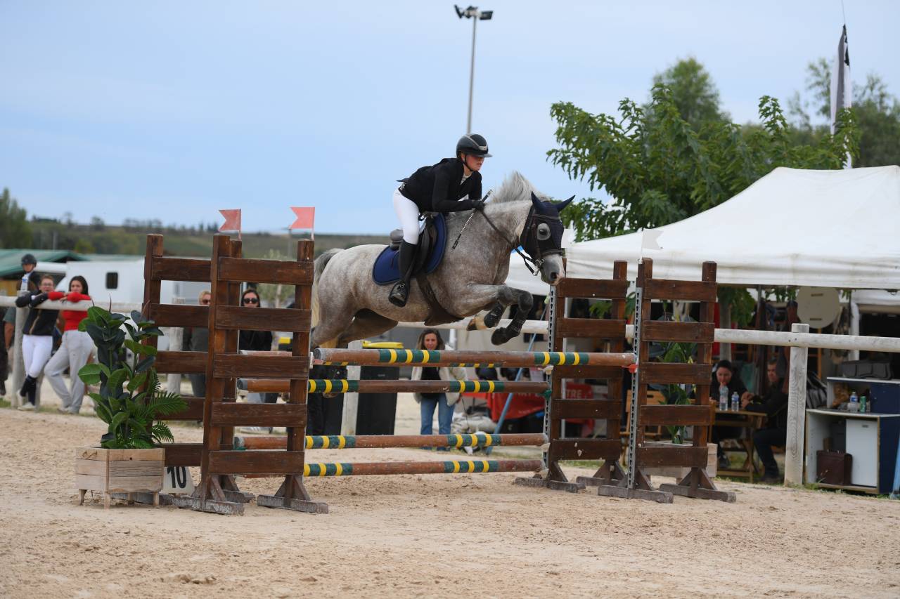 Merrie Connemara Te leen 2019 Schimmel