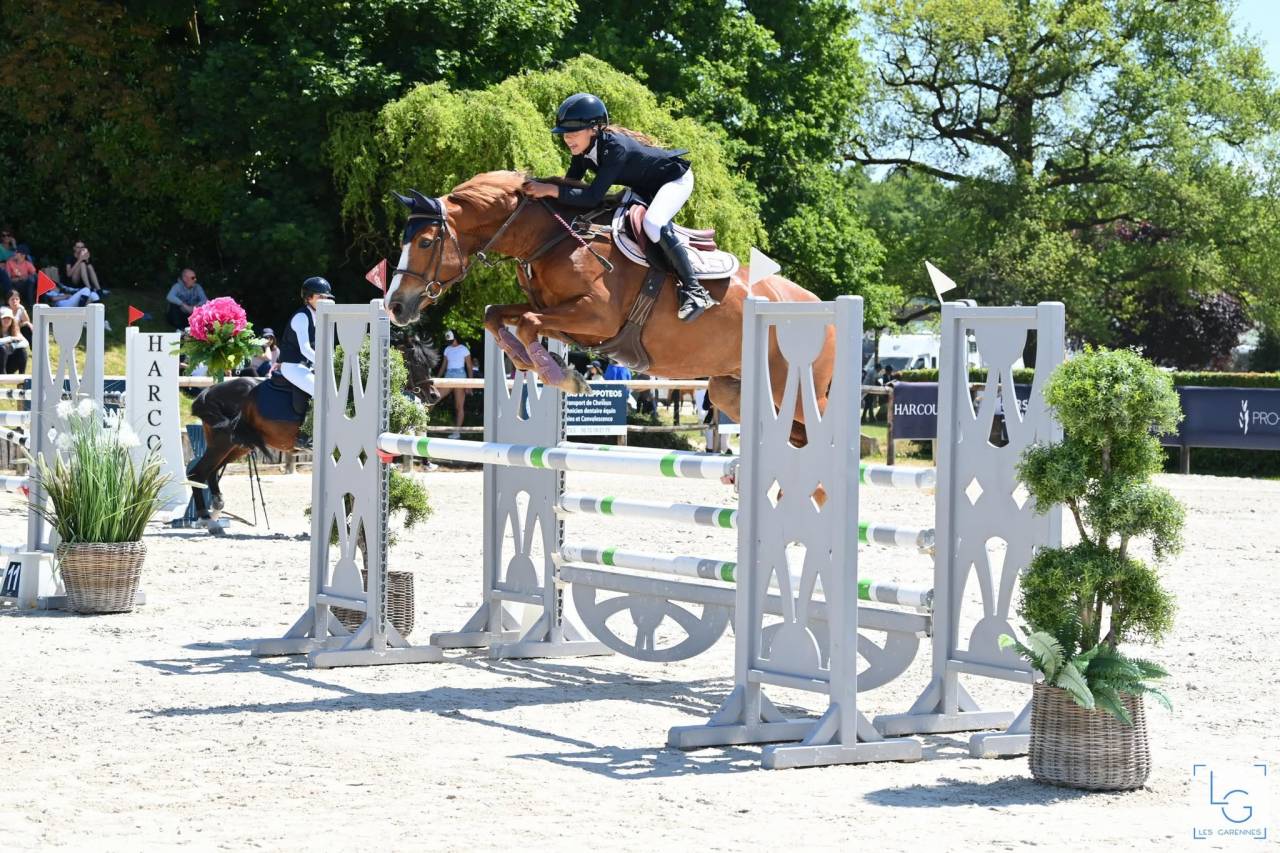Merrie Franse rijpony PFS Te koop 2017 Vos