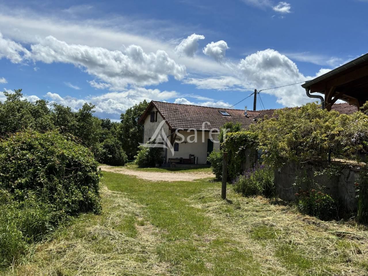 Landbouw bedrijf Koop Sa&ocirc;ne-et-Loire