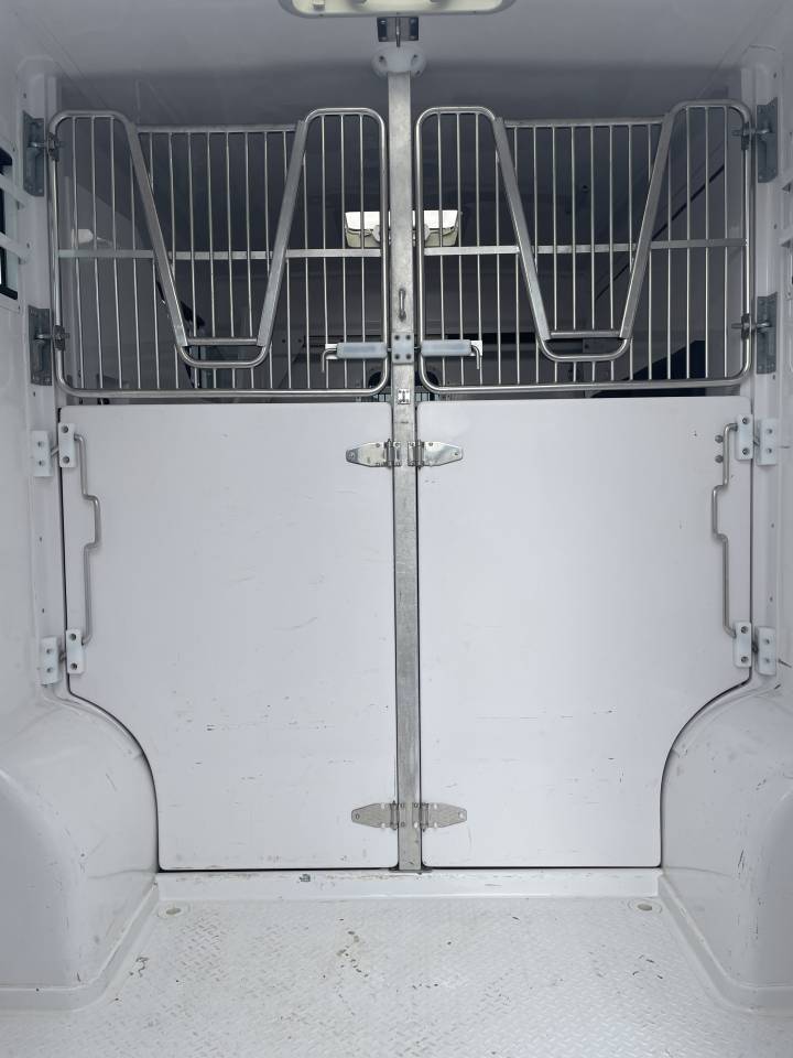 Kleine paardenvrachtwagen (B rijbewijs) Autre marque master 2023 Tweedehands