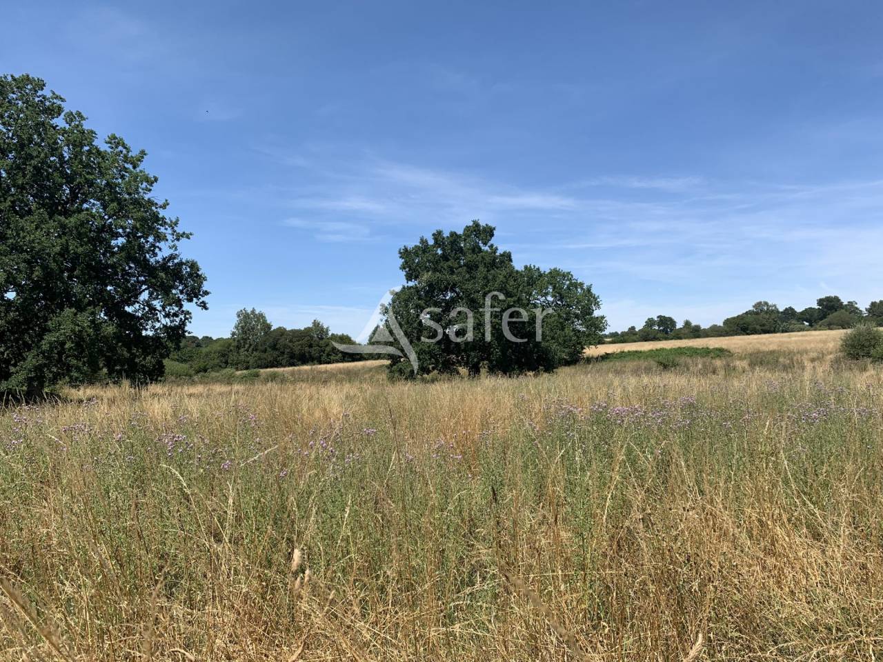 Landbouw bedrijf Koop Orne