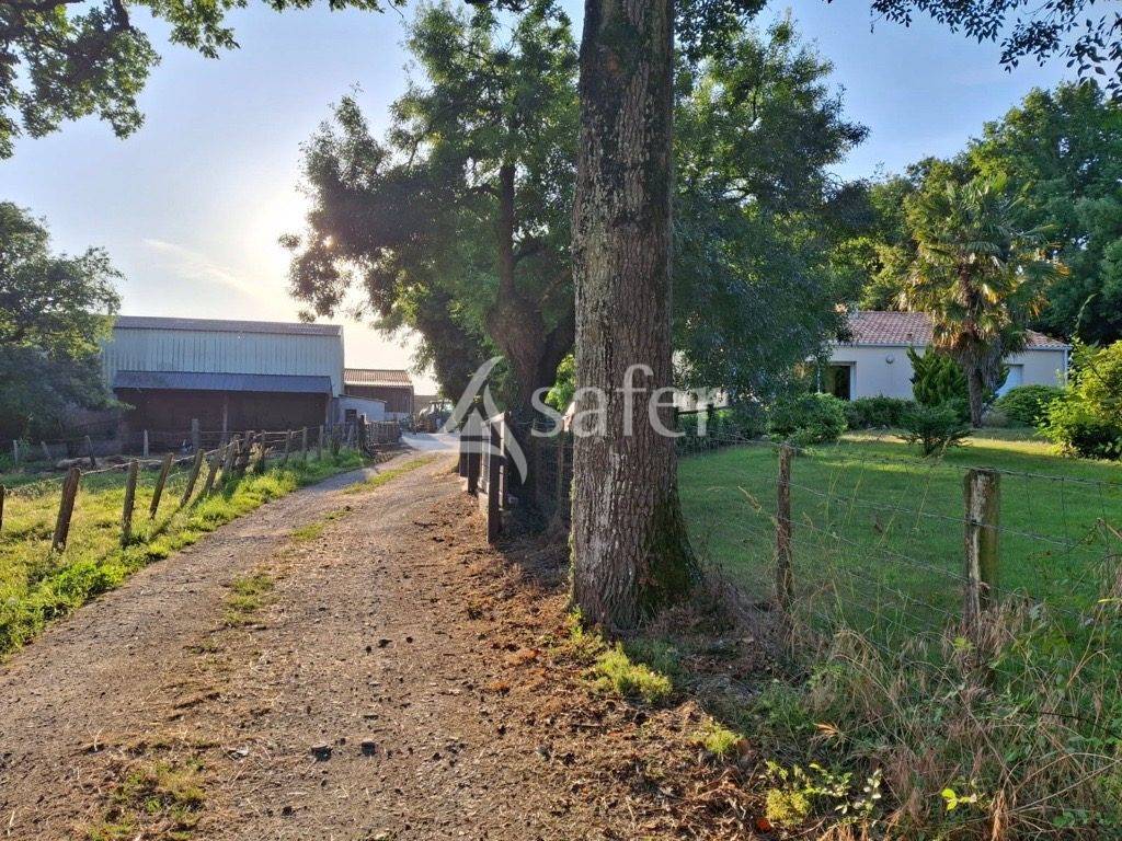 Ander plattelands vastgoed Koop Loire-Atlantique