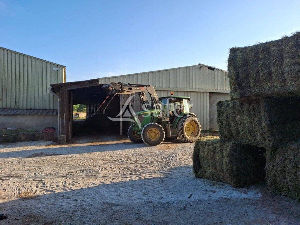 Ander plattelands vastgoed Koop Loire-Atlantique