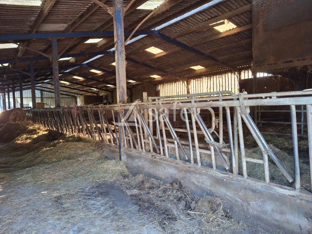 Ander plattelands vastgoed Koop Loire-Atlantique