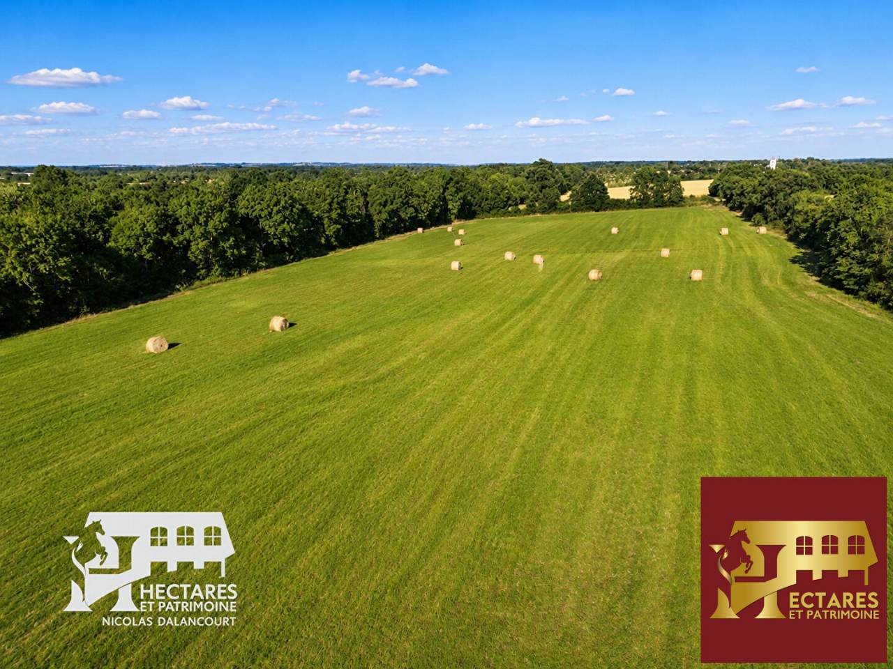 Paarden accommodatie Koop Loire-Atlantique