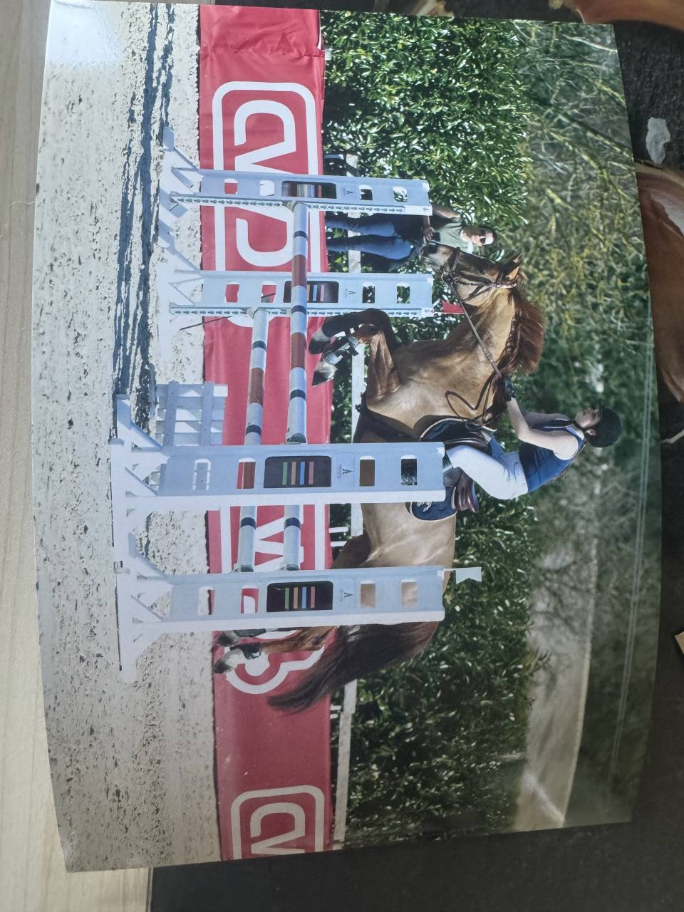 Merrie Selle Fran&ccedil;ais Te koop 2012 Vos