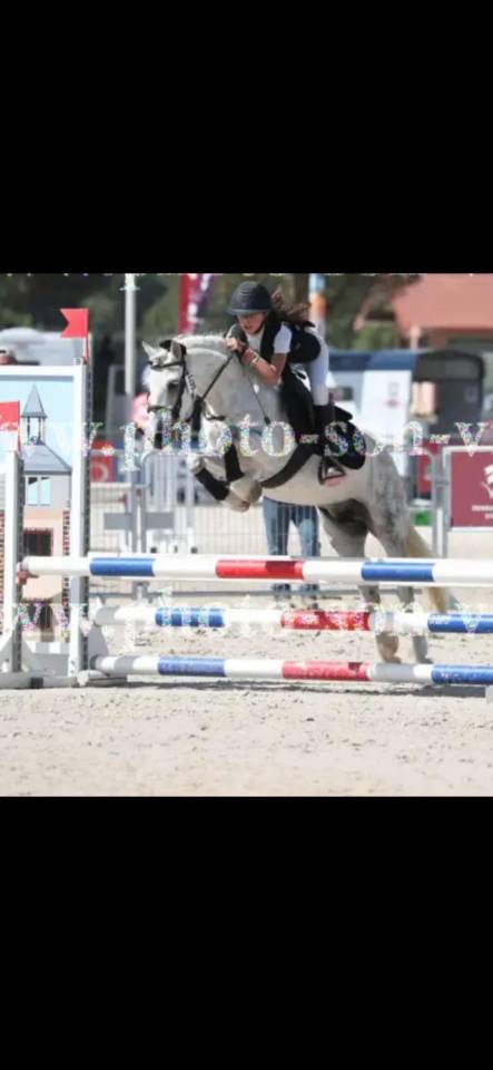 Merrie Ras onbekend Te koop 2016 Wit