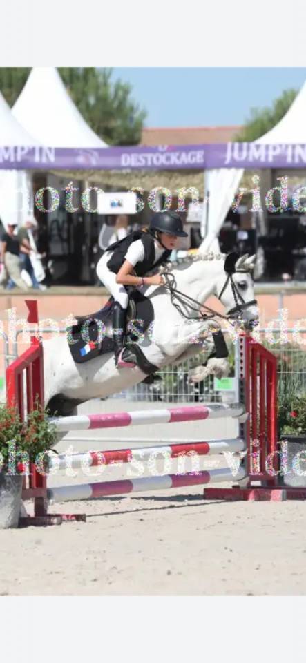 Merrie Ras onbekend Te koop 2016 Wit