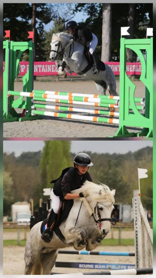 Merrie Ras onbekend Te koop 2016 Wit