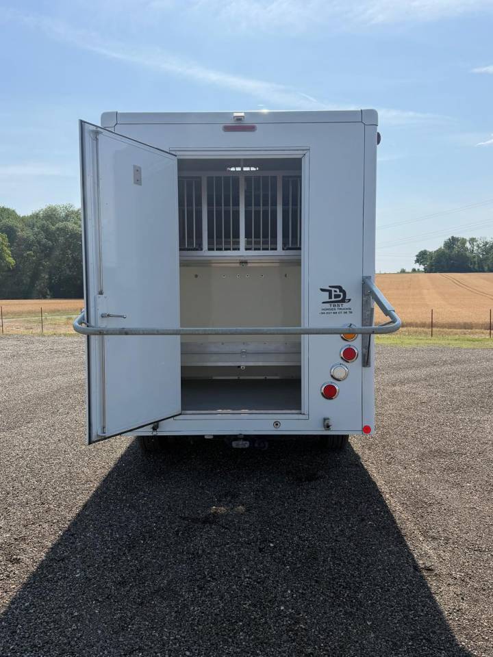 Kleine paardenvrachtwagen (B rijbewijs) Opel CAVALCAR 2018 Tweedehands