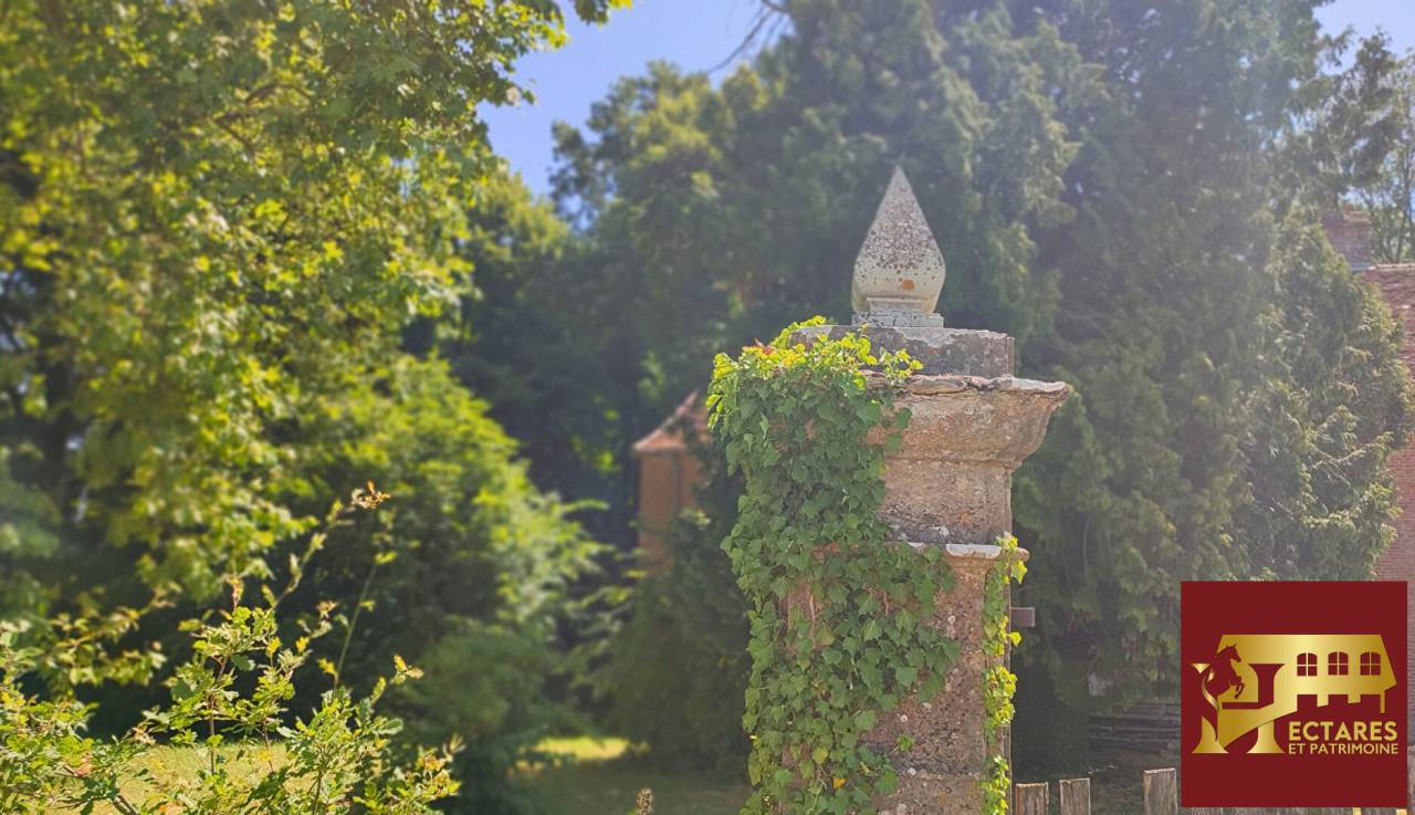 Paarden accommodatie Koop Sa&ocirc;ne-et-Loire