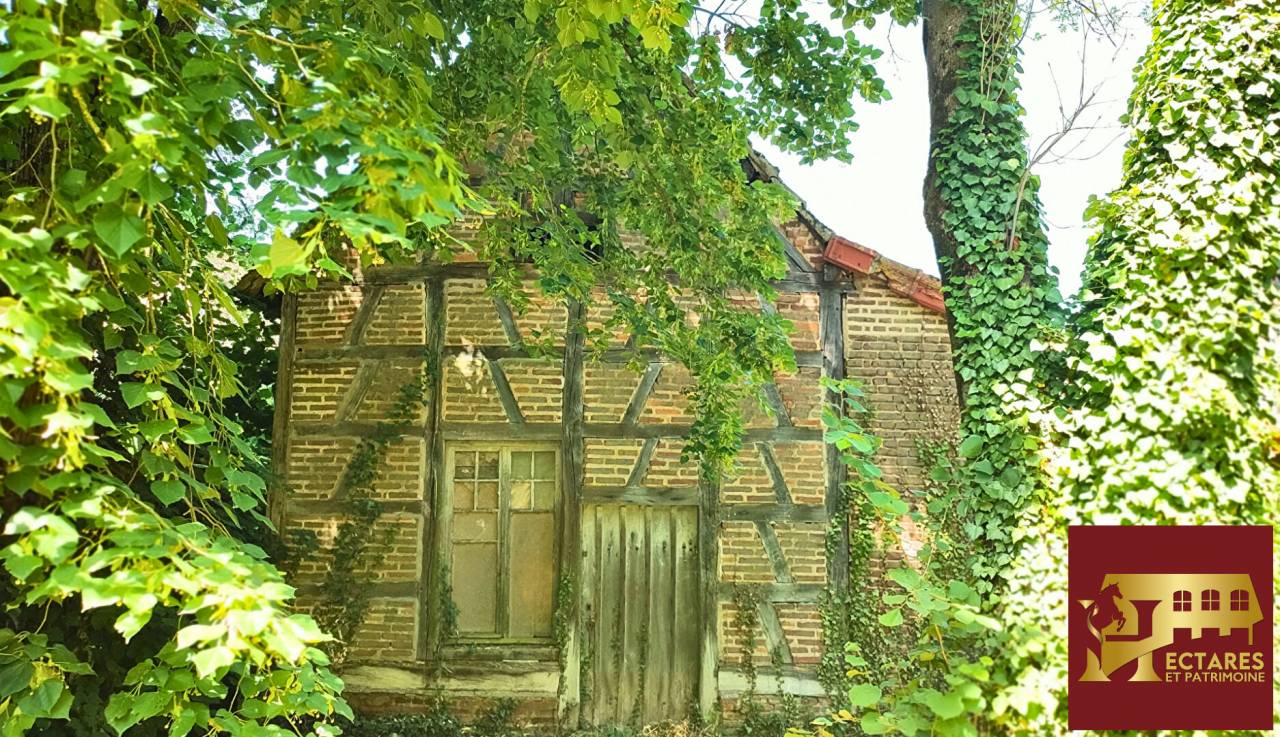 Paarden accommodatie Koop Sa&ocirc;ne-et-Loire