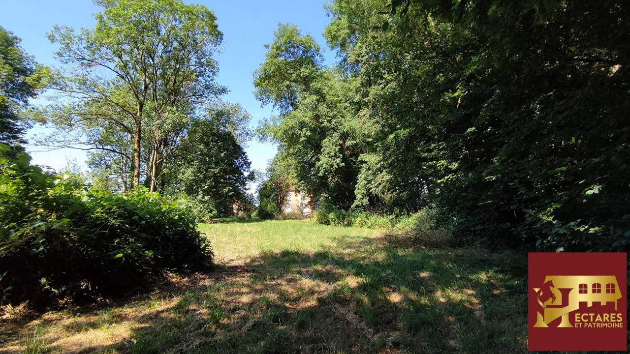 Paarden accommodatie Koop Sa&ocirc;ne-et-Loire