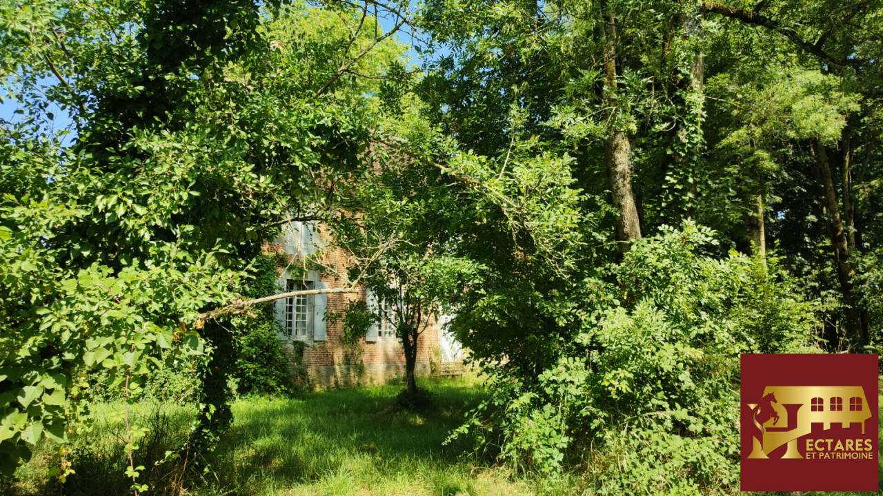 Paarden accommodatie Koop Sa&ocirc;ne-et-Loire