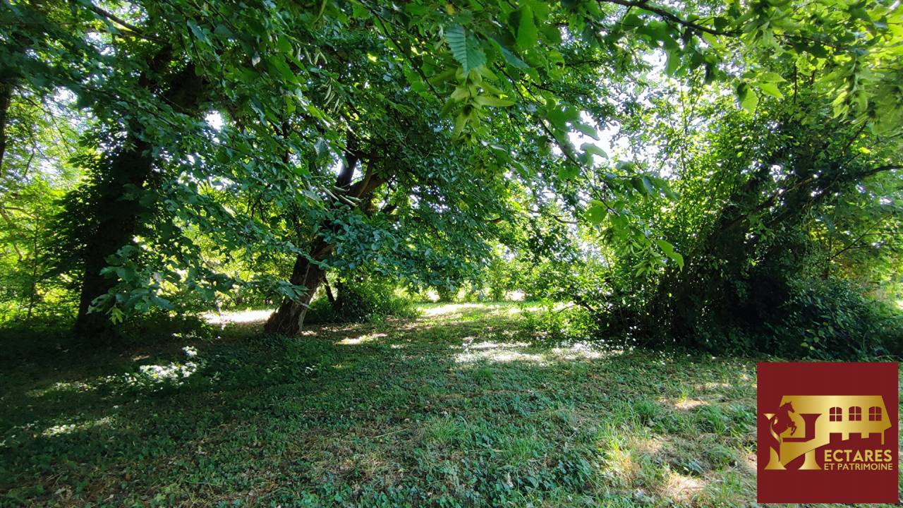 Paarden accommodatie Koop Sa&ocirc;ne-et-Loire