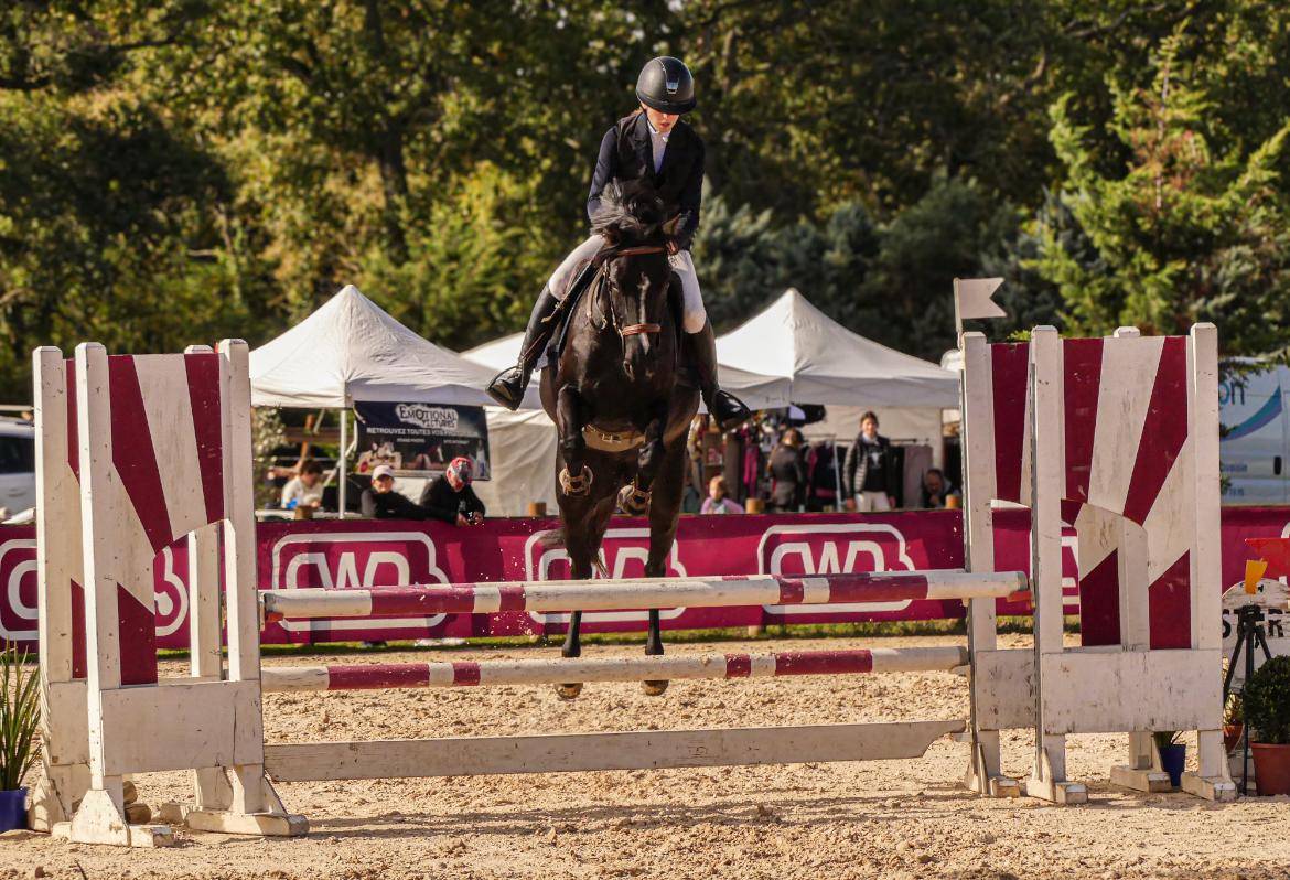 Merrie Franse rijpony PFS Te koop 2018 Zwart ,  &Eacute;tam d&rsquo;Odival