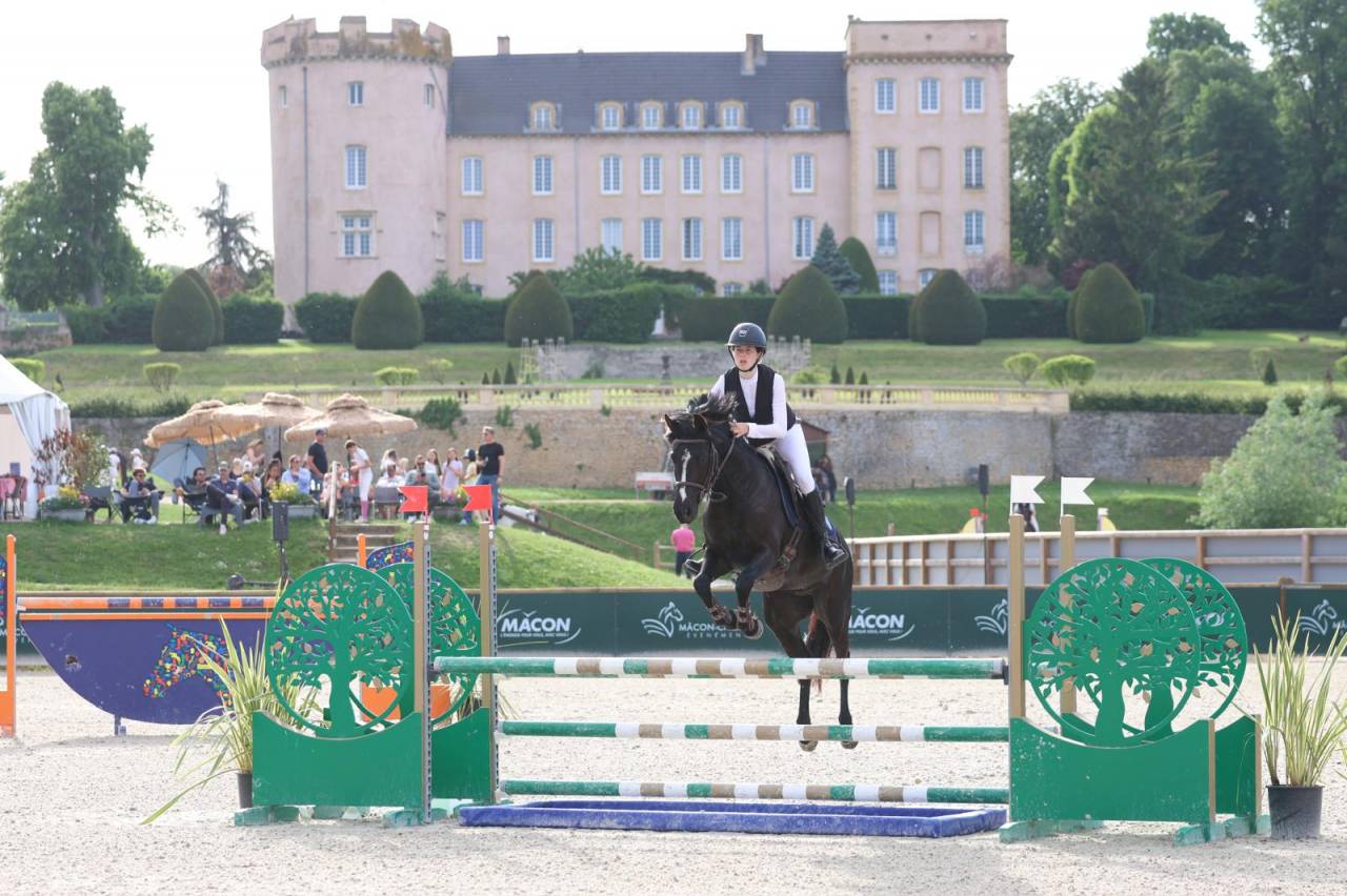 Merrie Franse rijpony PFS Te koop 2018 Zwart ,  &Eacute;tam d&rsquo;Odival