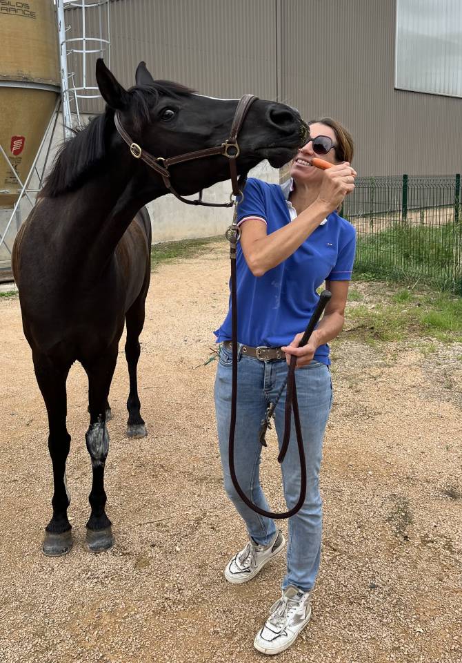 Merrie Franse rijpony PFS Te koop 2018 Zwart ,  &Eacute;tam d&rsquo;Odival