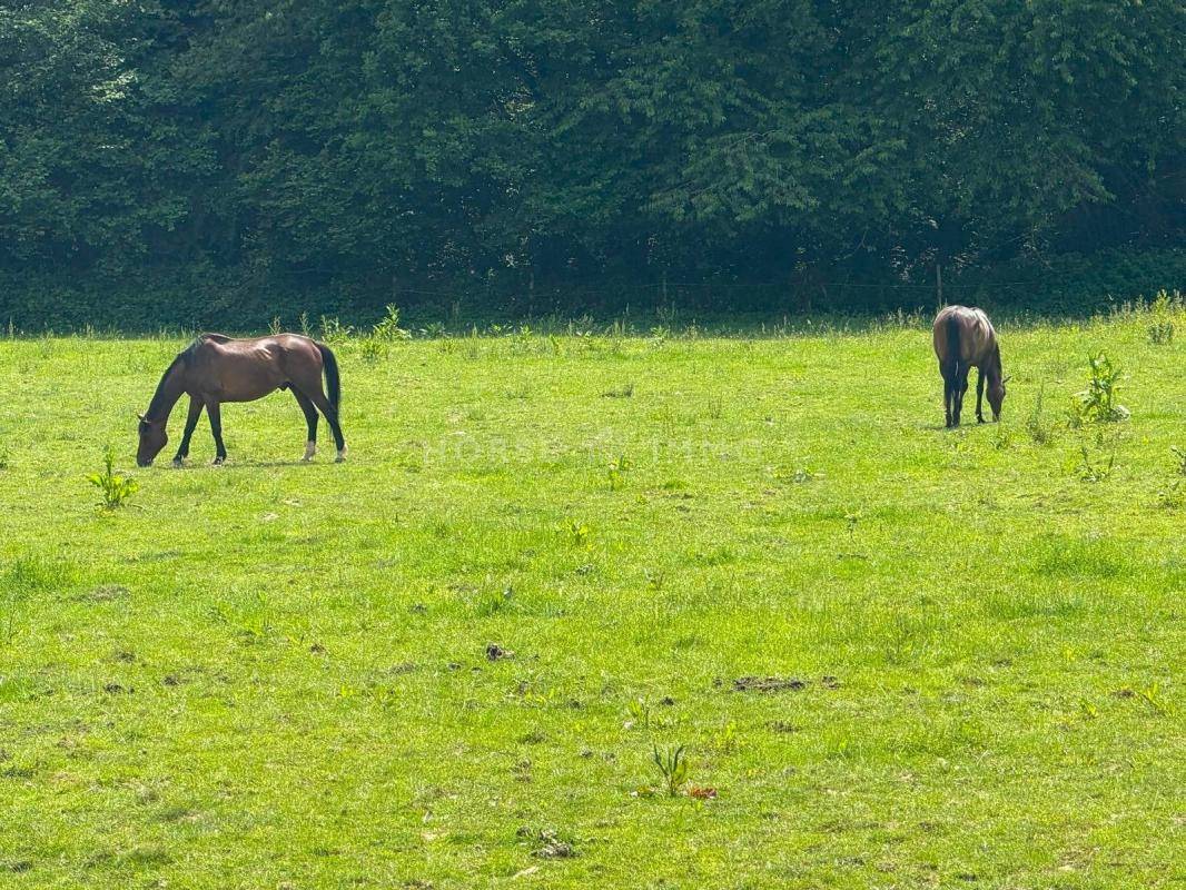 Hippisch vastgoed Koop Seine-et-Marne