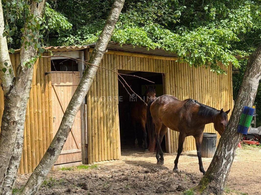 Hippisch vastgoed Koop Seine-et-Marne