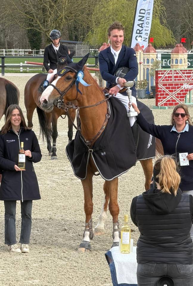 Merrie Selle Fran&ccedil;ais Te koop 2019 Koffie vos ,  NERVOSO SF